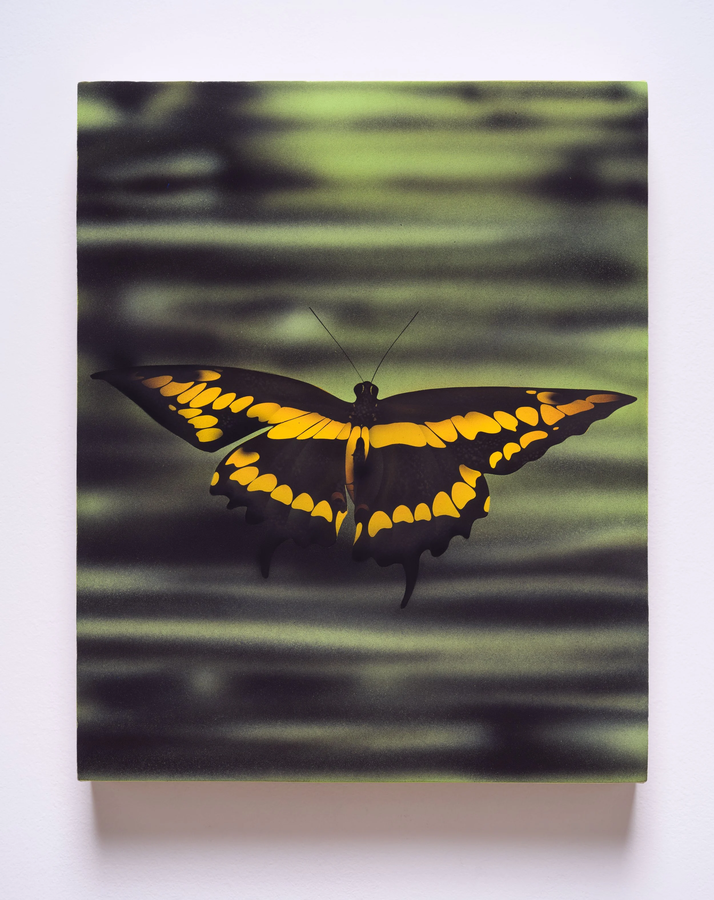   Second Nature 2 , 2025 Acrylic and vinyl on canvas 16 1/2 x 13 1/2 x 2 1/4 inches 