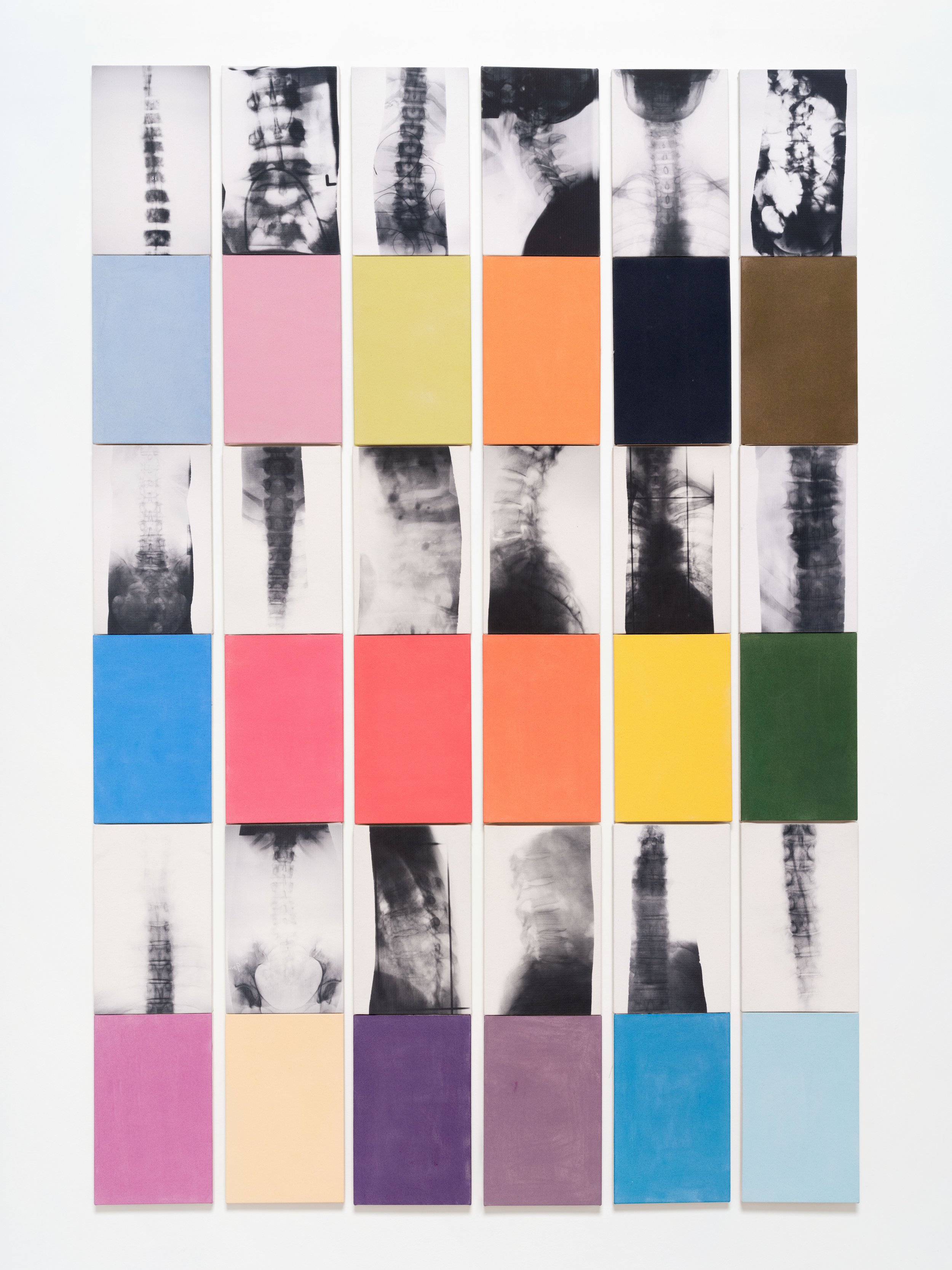   Vertebra , 2021 Photo emulsion, acrylic on canvas 96 3/4 x 65 1/2 x 1 inches (overall) 