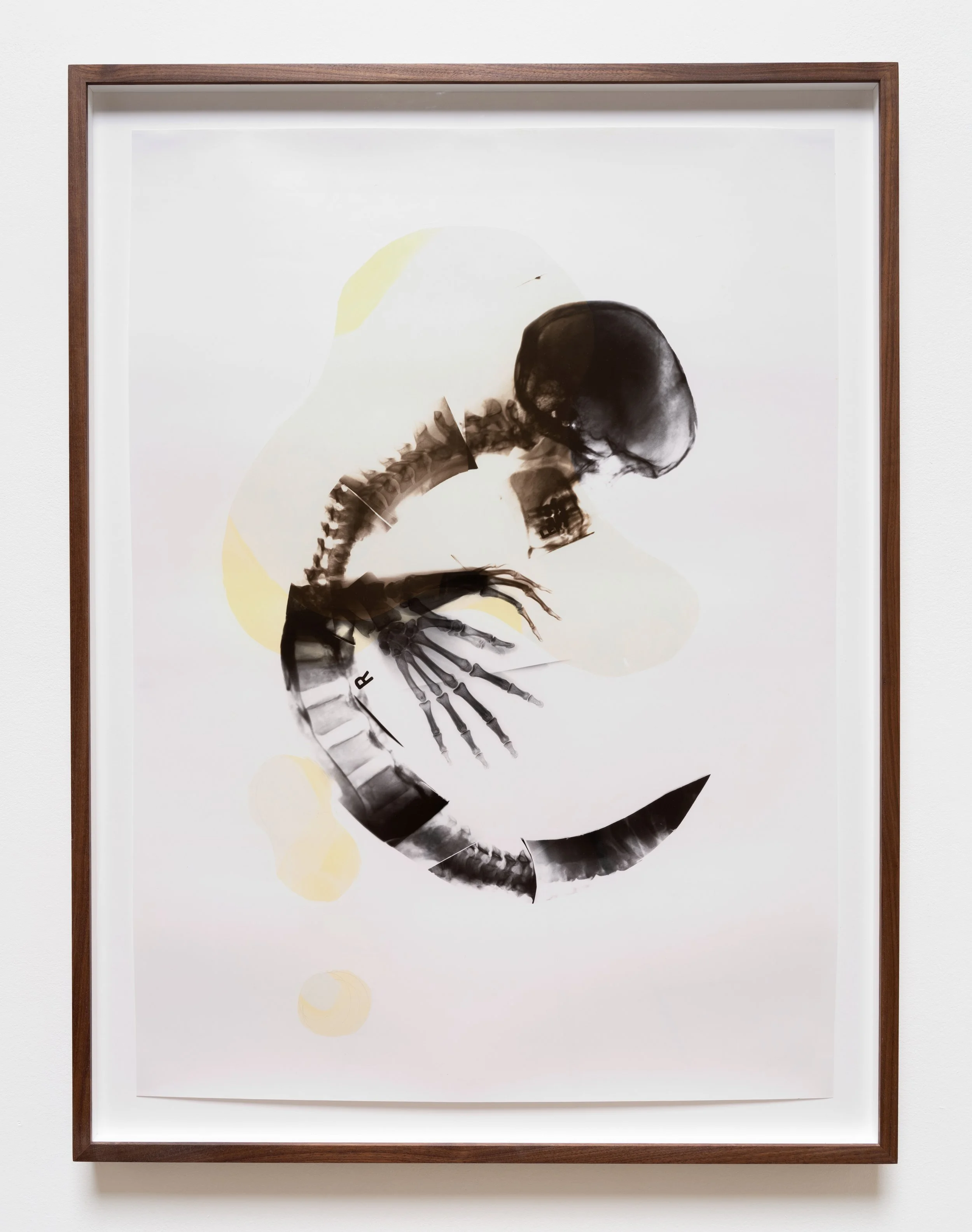   Embriwhoooh , 1995 Gelatin silver print, toned 44 3/4 x 33 3/4 x 2 inches (framed) 