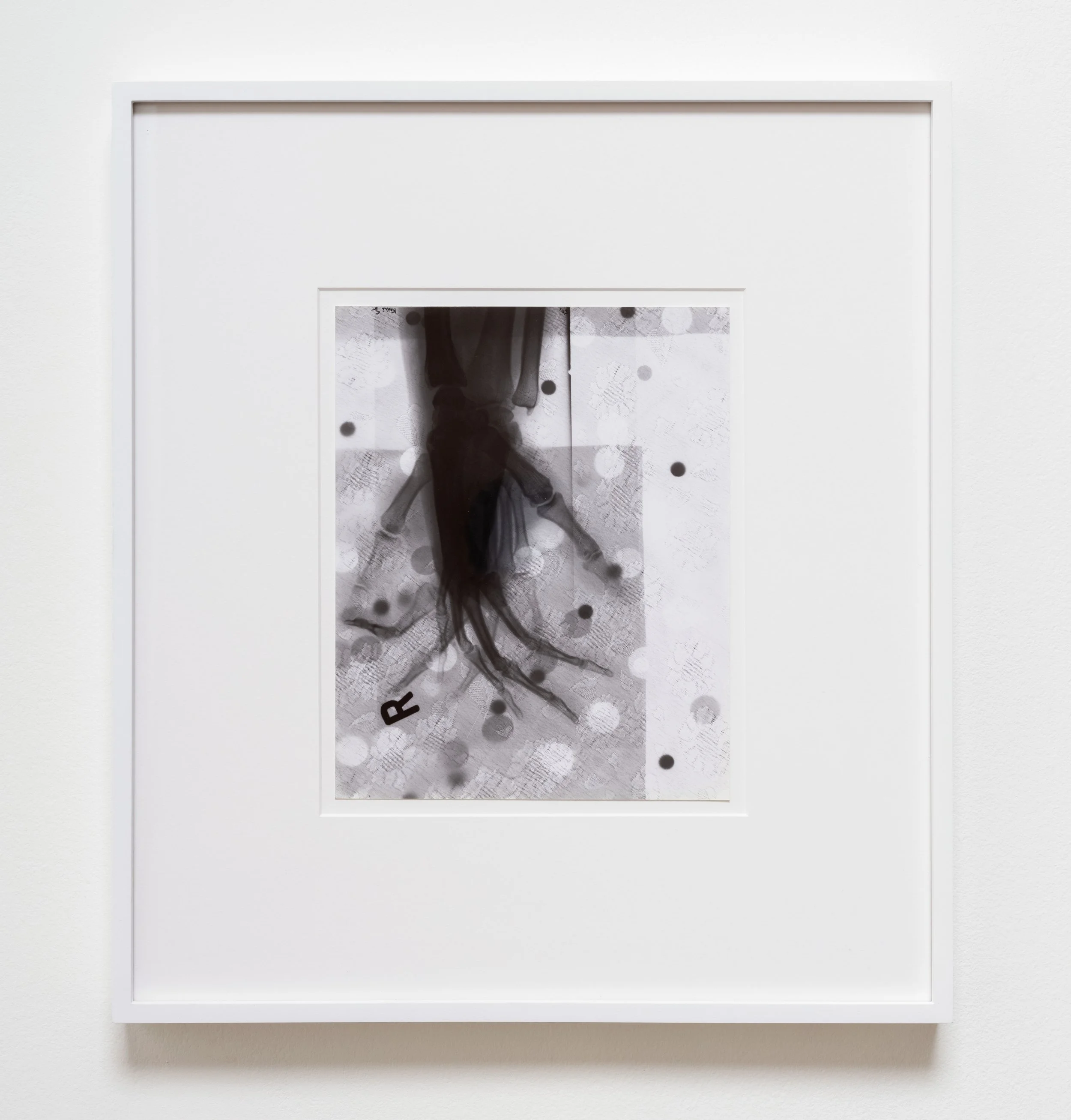   roots , 1993 Gelatin silver print 19 x 17 x 1 1/2 inches (framed) 