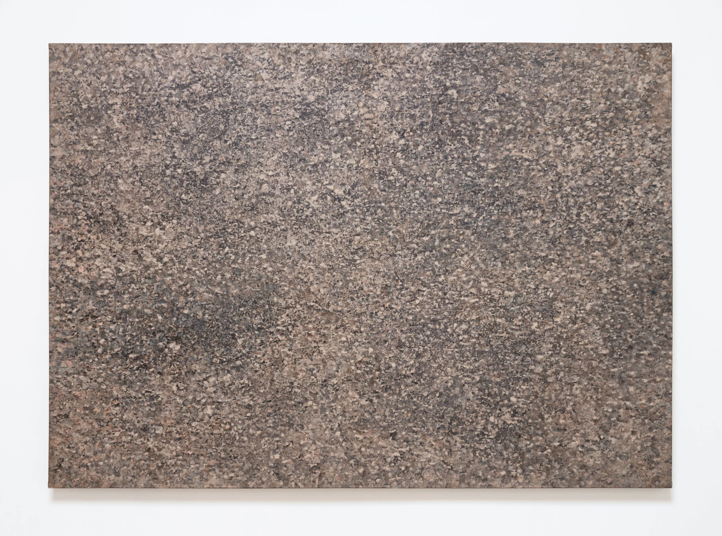   Beach 2 , 1971 Photo emulsion, acrylic on canvas 60 x 84 x 2 inches 