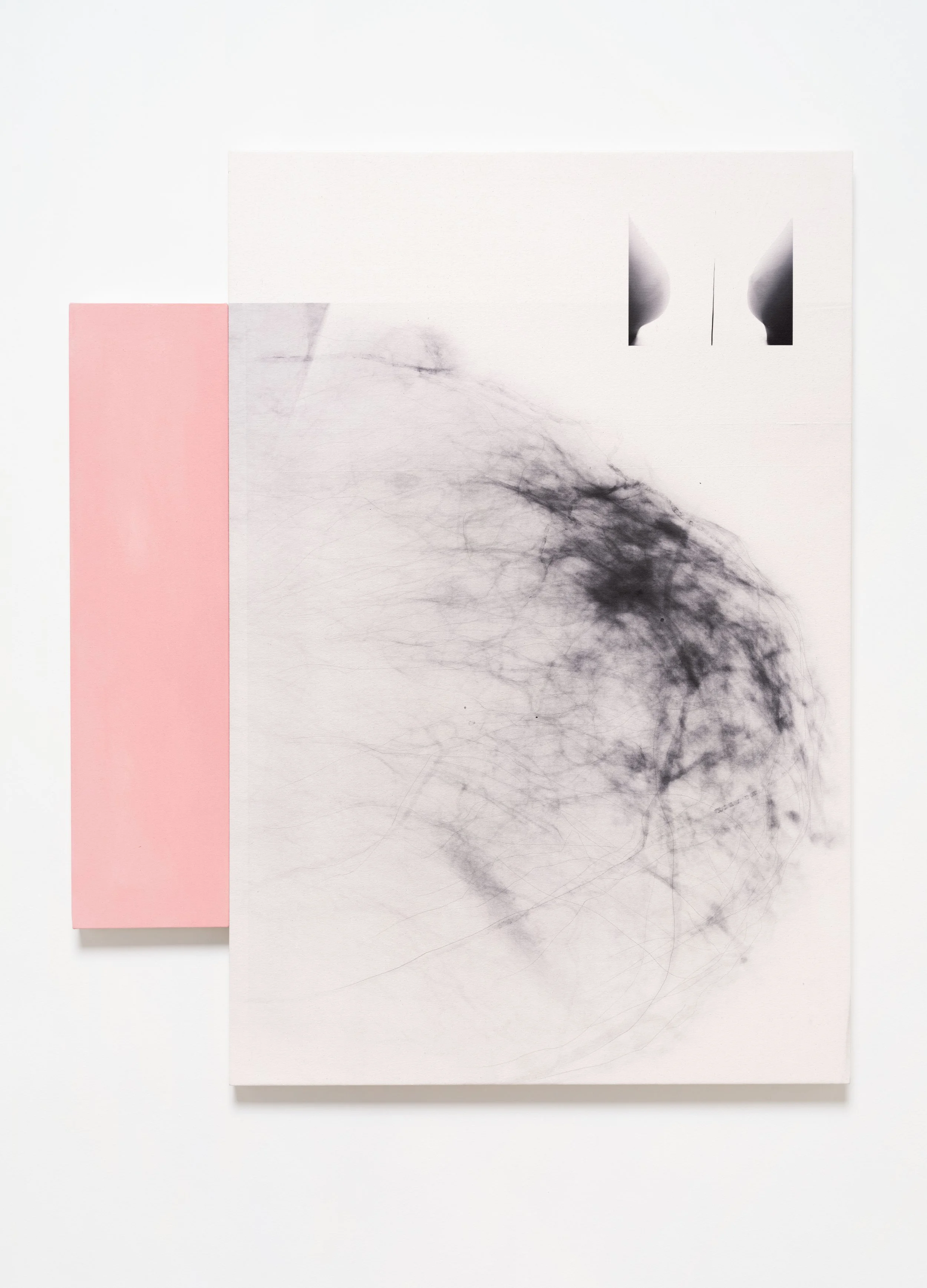   Big Mammo , 2021 Pigment print, acrylic, graphite on canvas 60 x 50 x 1 1/4 inches 