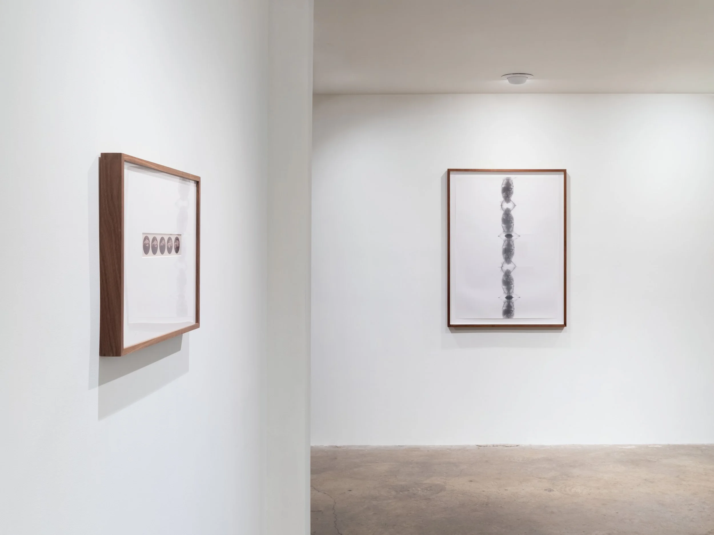 Installation View XI.jpg