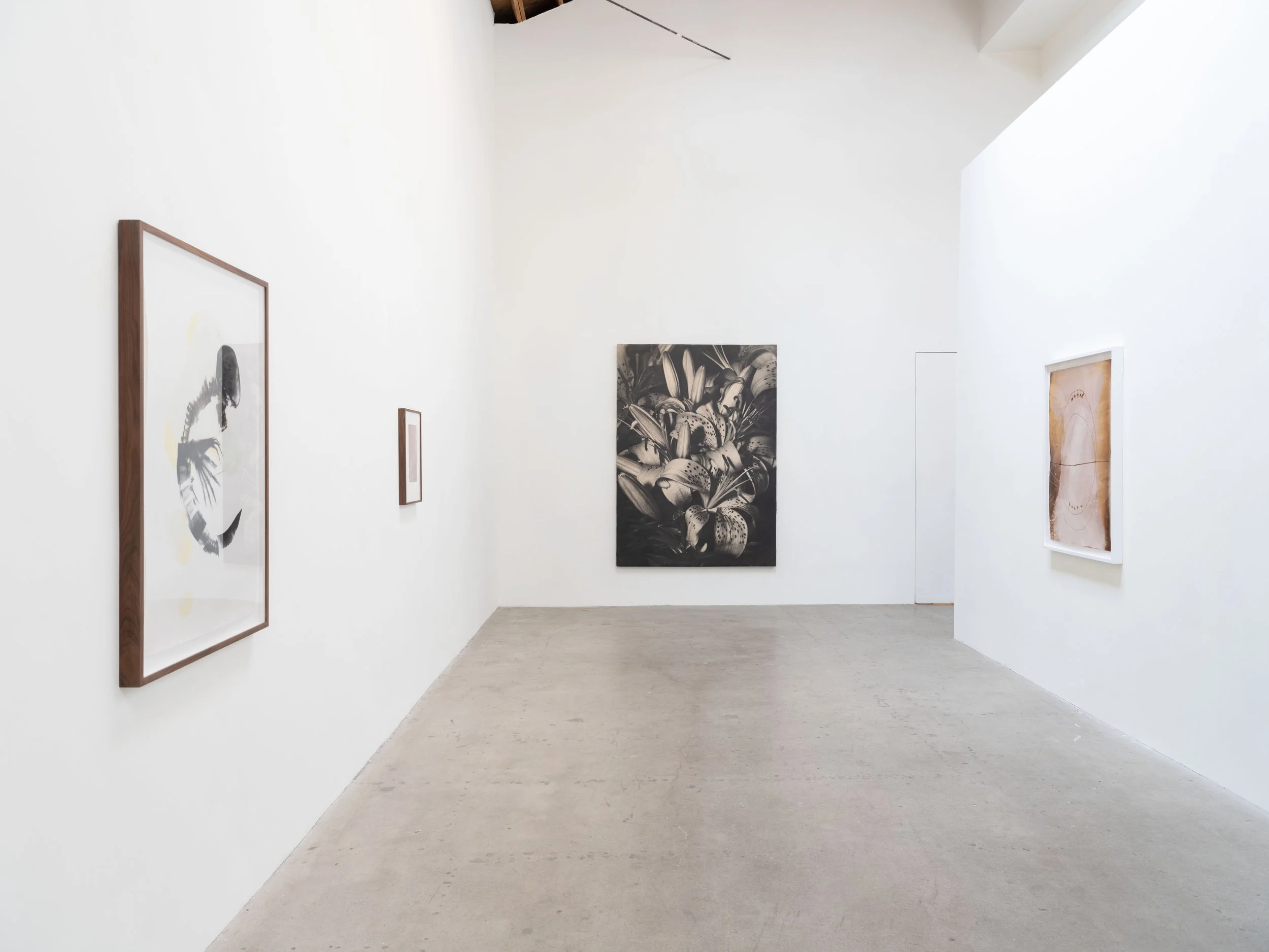 Installation View IV.jpg