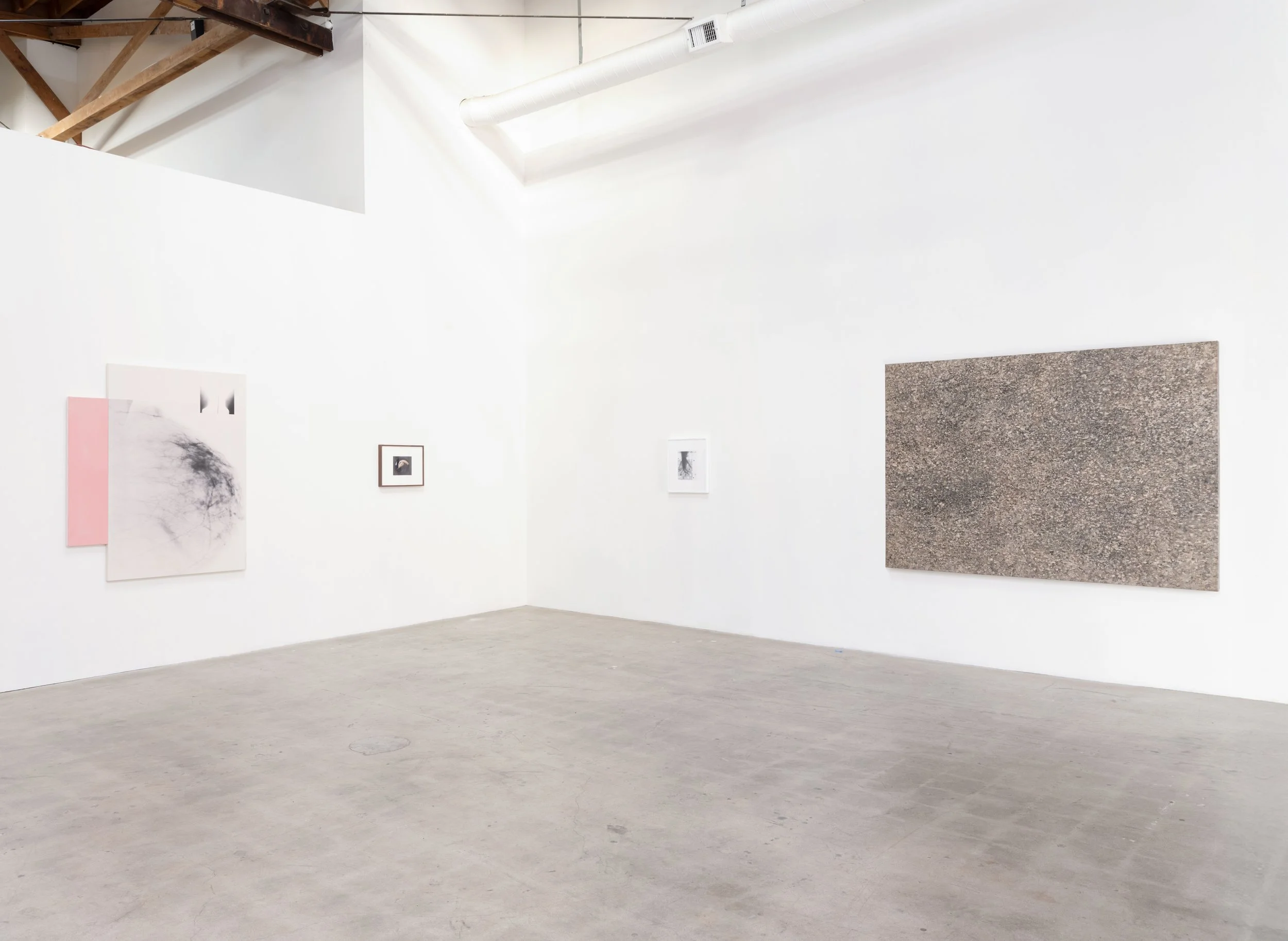 Installation View VIII.jpg