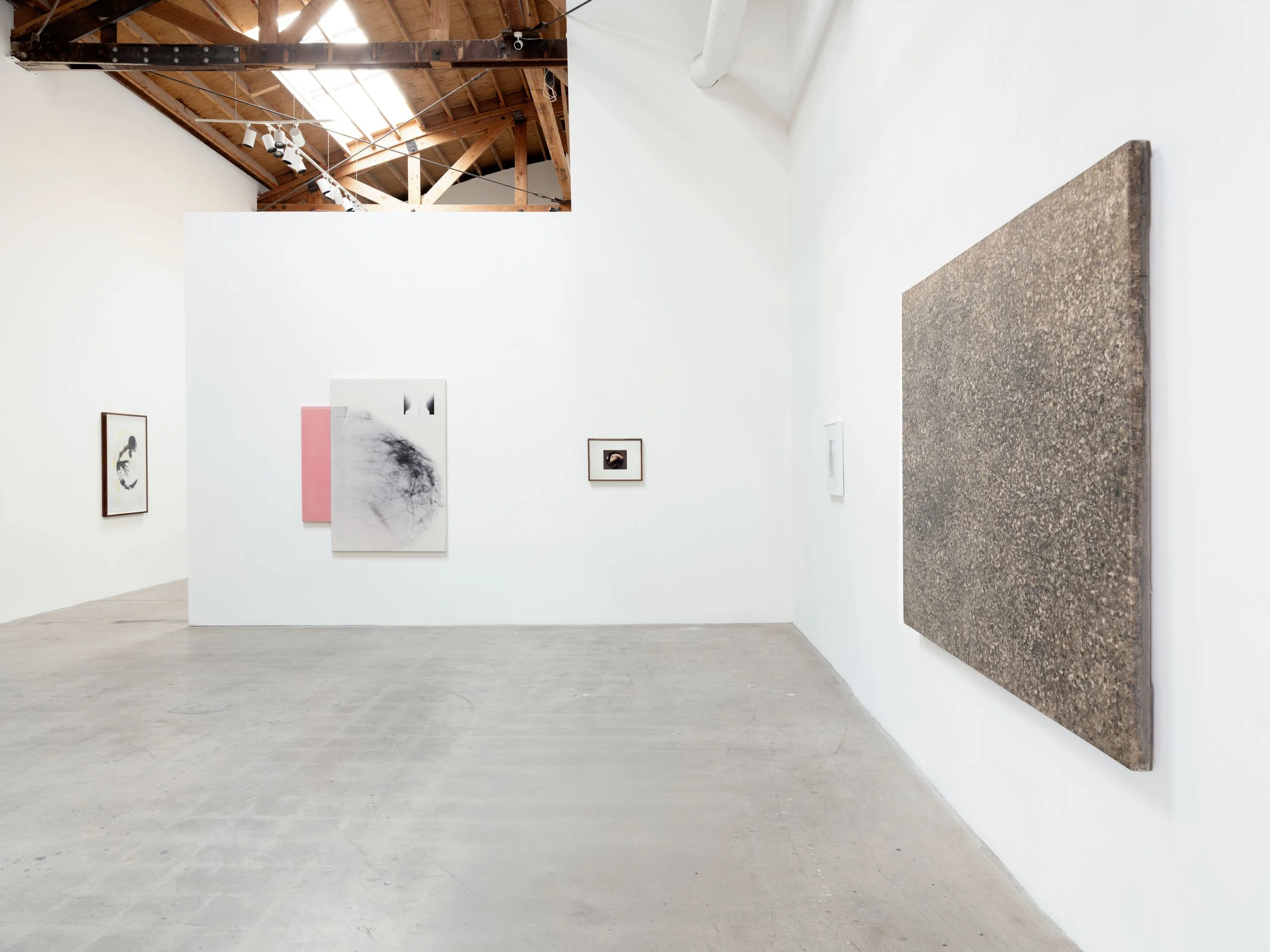 Installation View VII.jpg