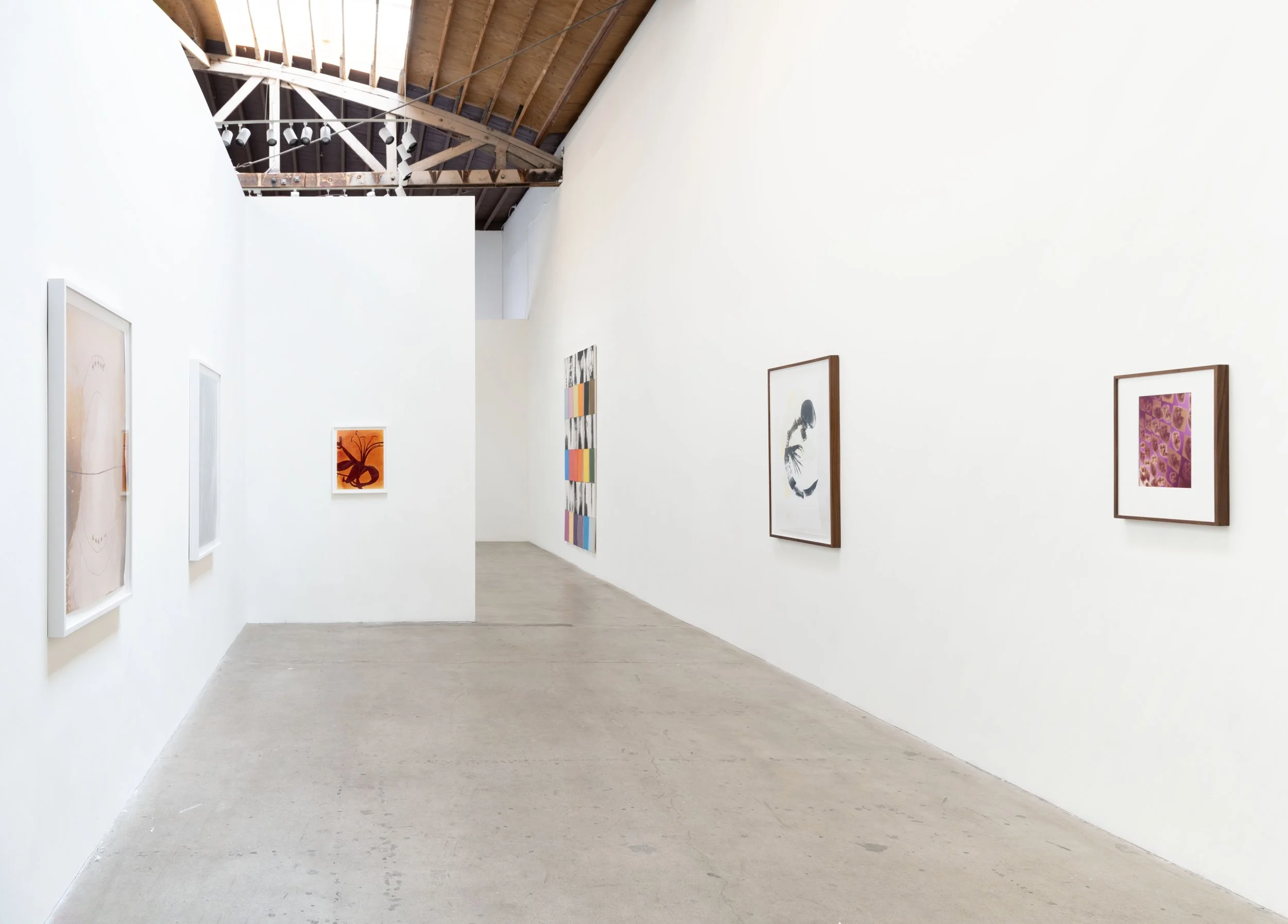 Installation View V.jpg