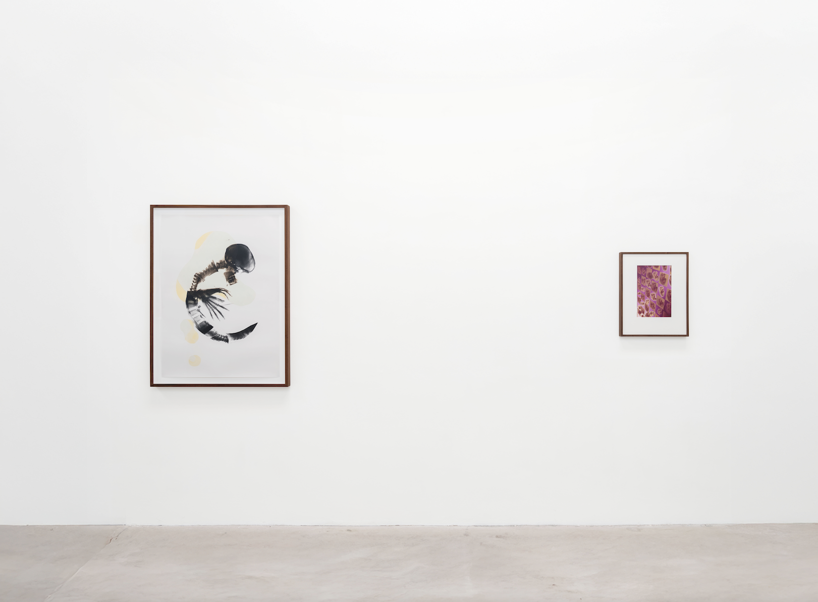 Screen Shot 2026-01-24 at 12.32.01 PM.png