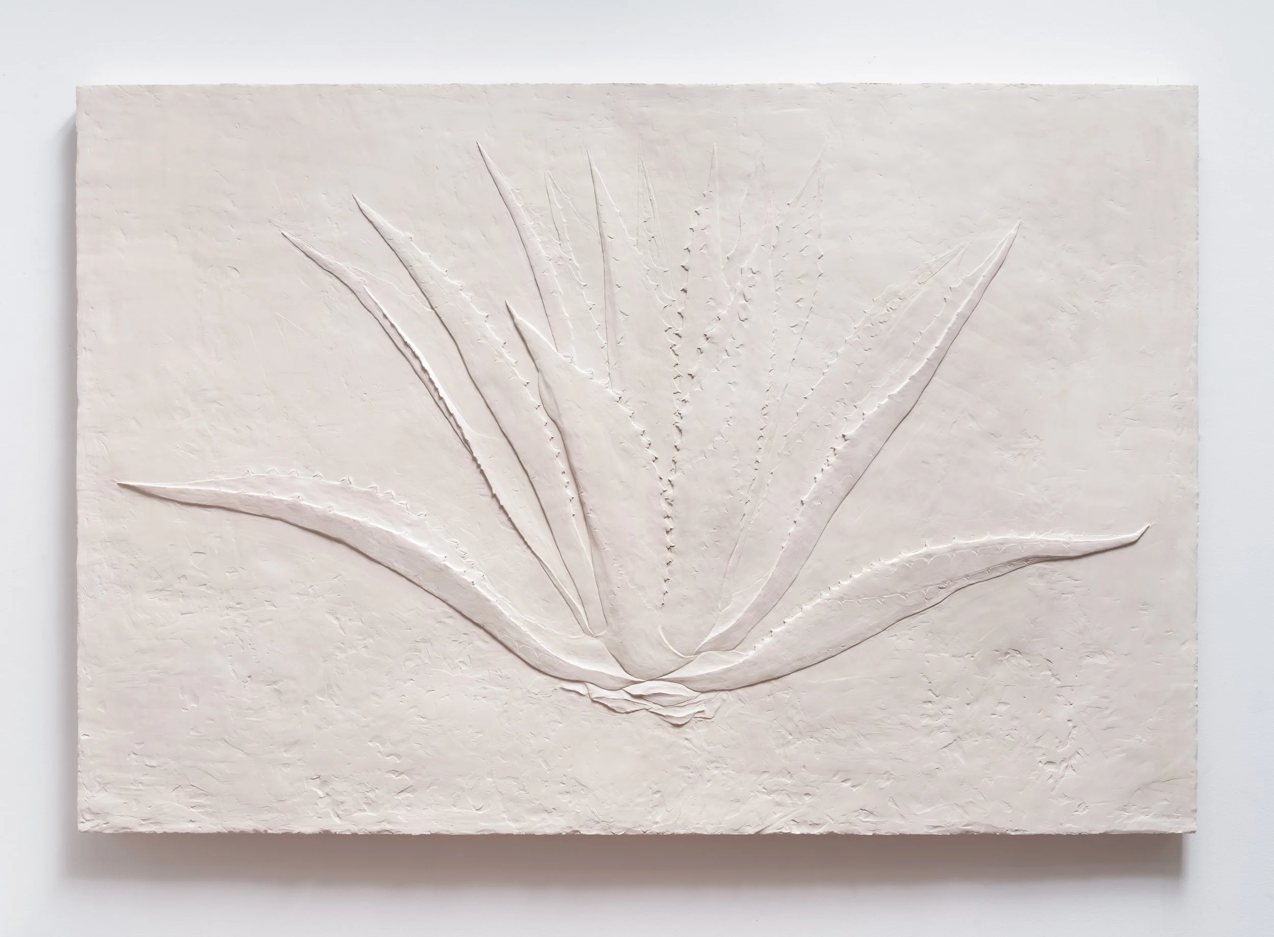   Agave , 2023 Gypsum and fiberglass cloth 48 x 72 x 2 inches Edition of 3 + 1AP 