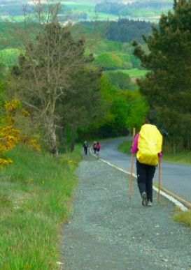 The St. James Way (El Camino de Santiago) in Galicia