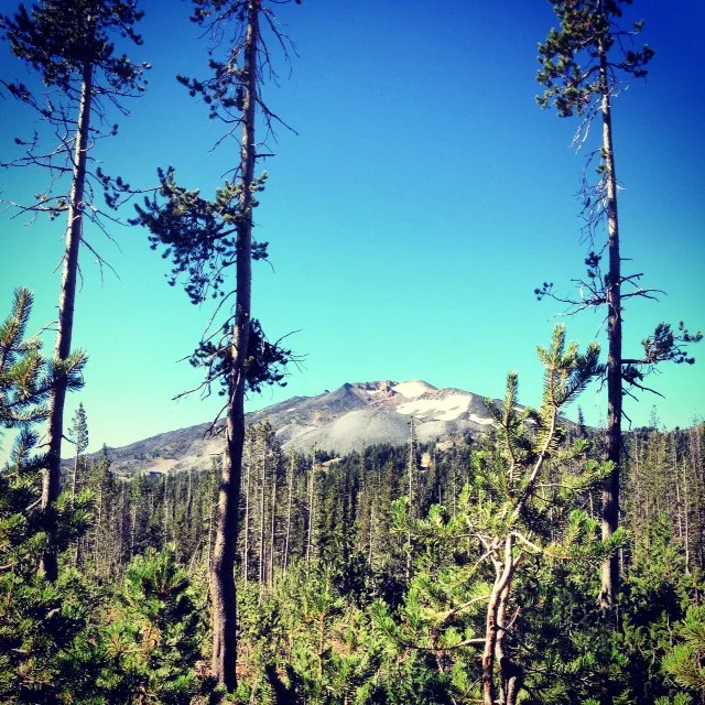 I love a good challenge