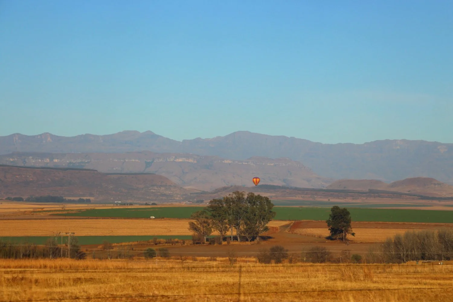 73-IMG_1358.JPG