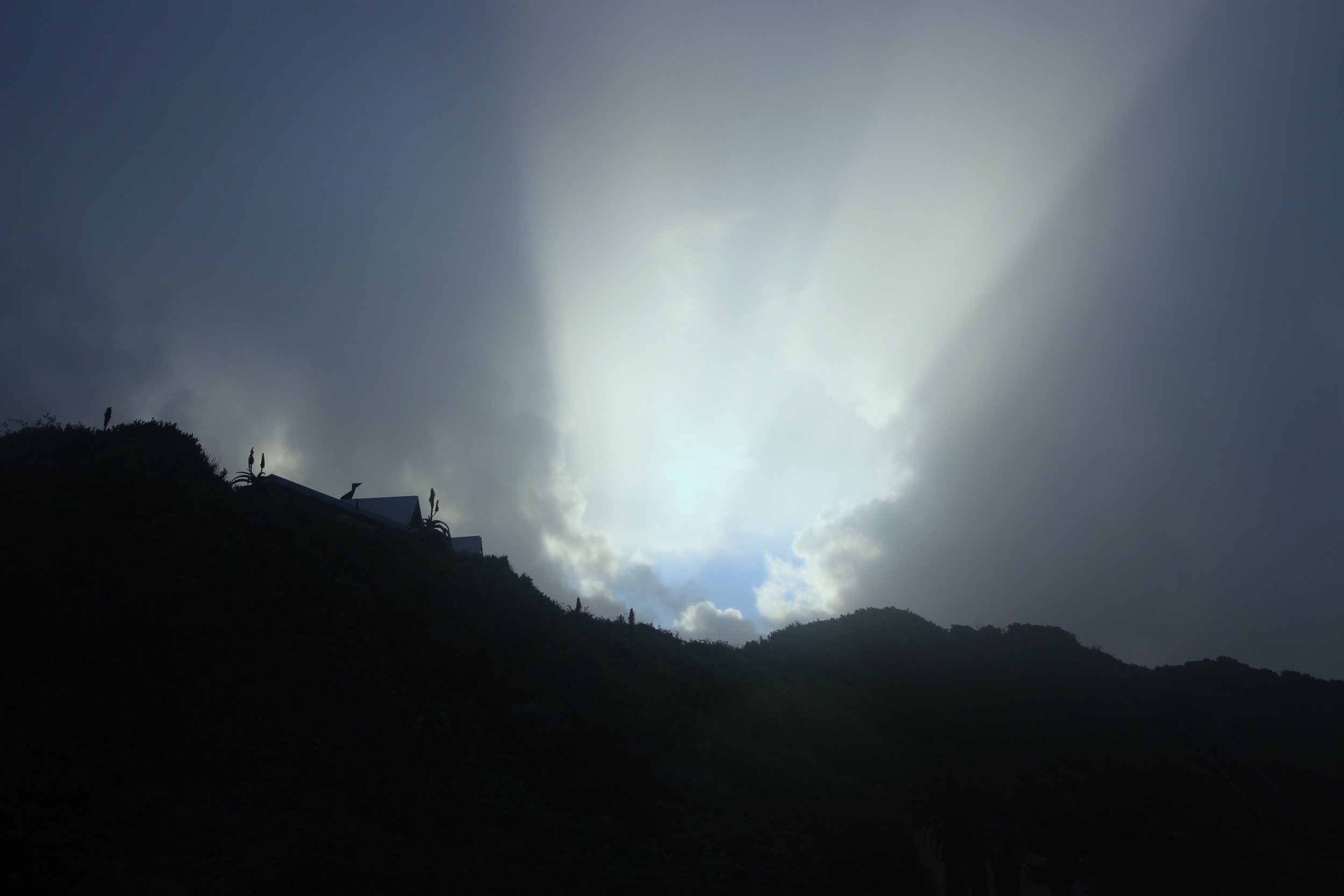 The Dark Side of Dreams