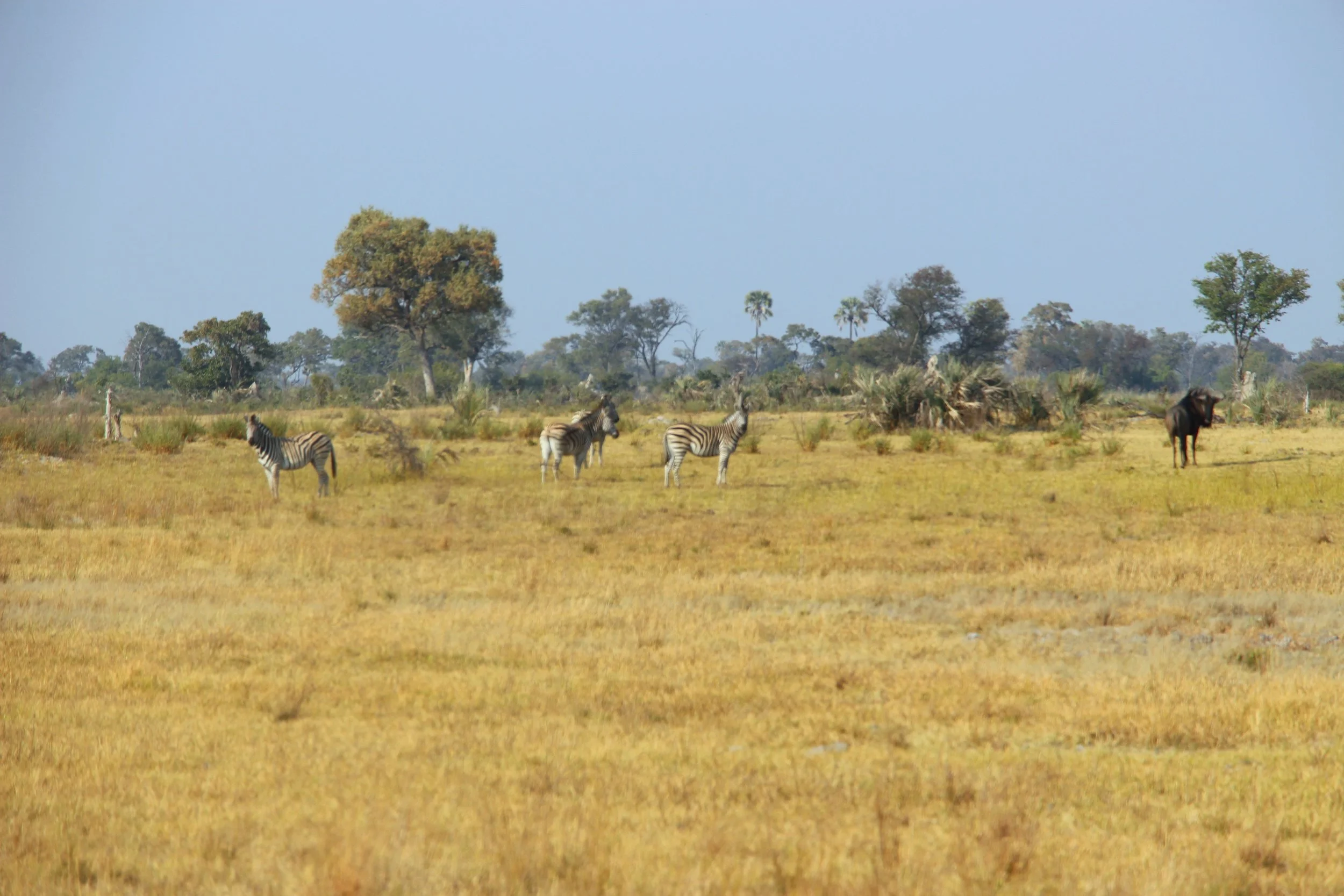 32-IMG_1991.JPG