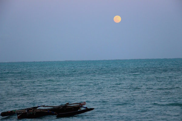 33-IMG_3916 copy.JPG