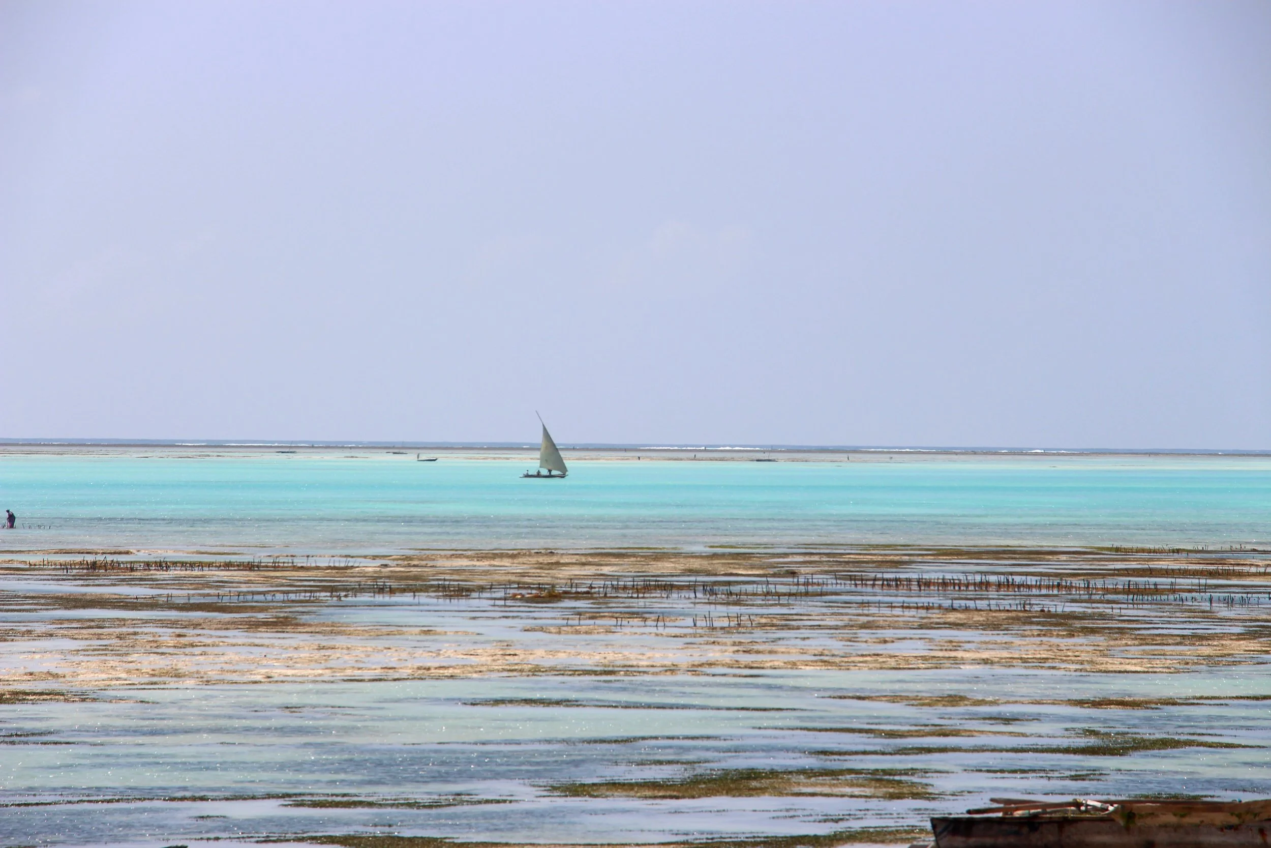 36-IMG_3943.JPG