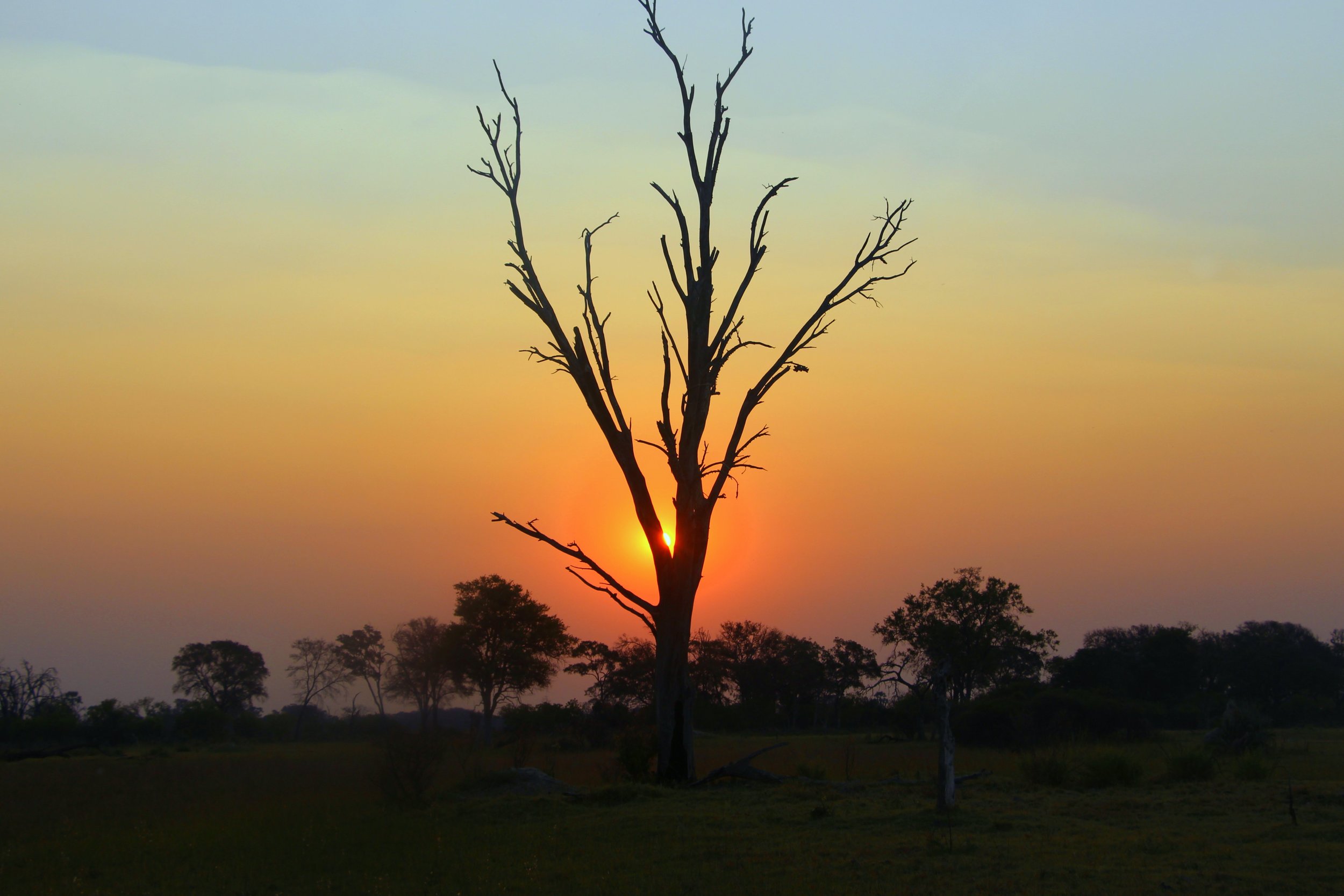 Africa, It's Complicated