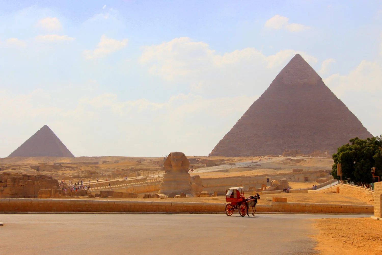 Cairo and Pharaohs 
