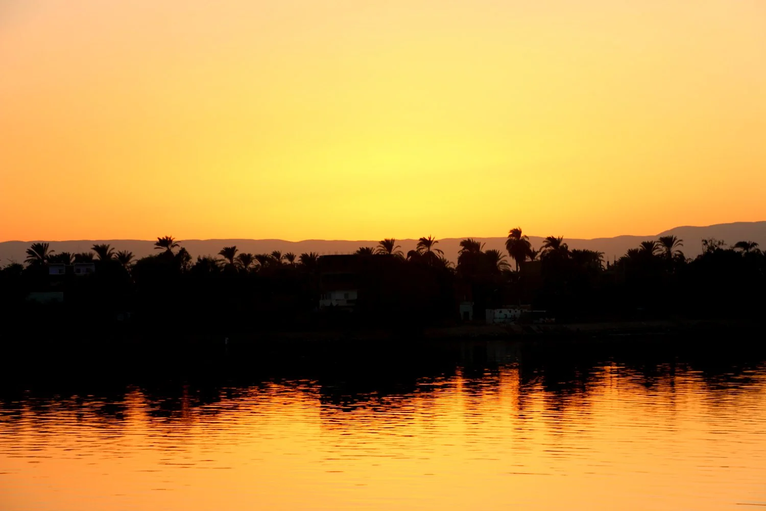 Cruising Down the Nile