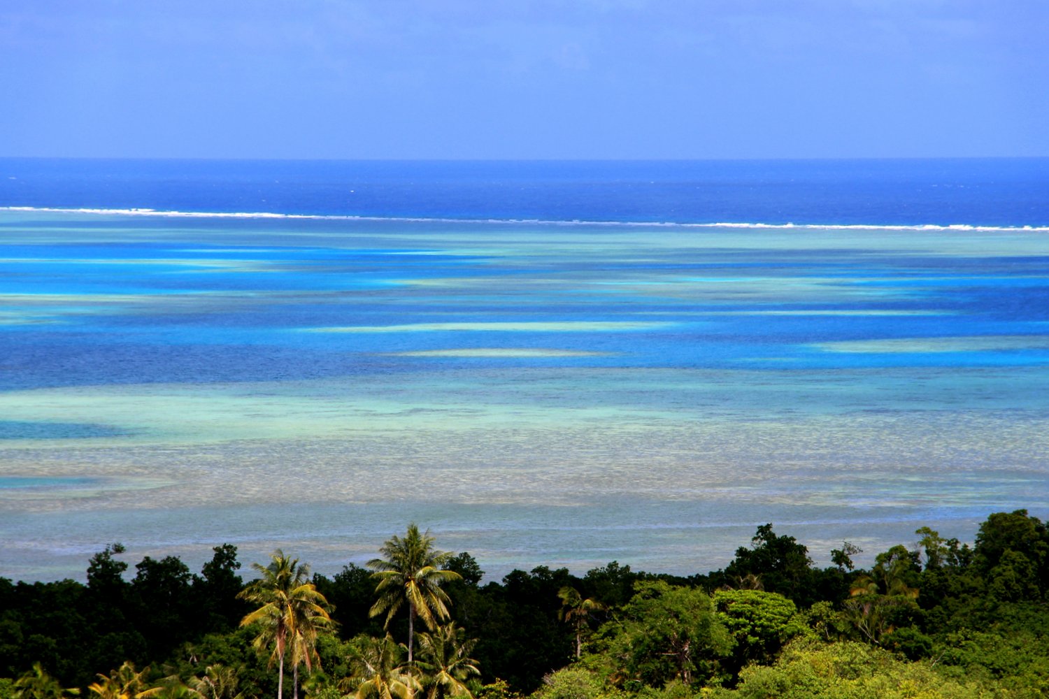 Palau:  A Scuba Fantasy