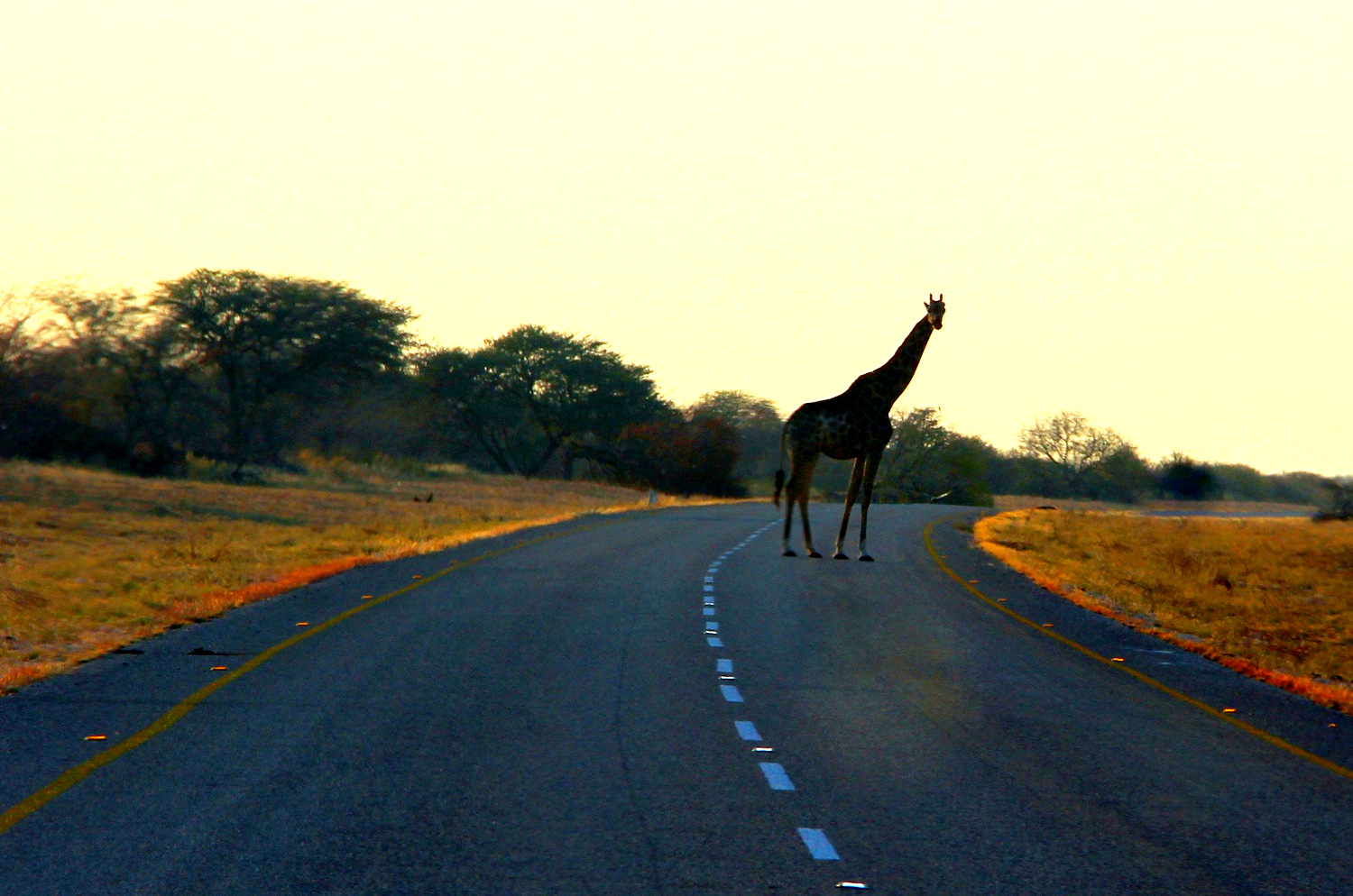 05-IMG_1999 copy.JPG