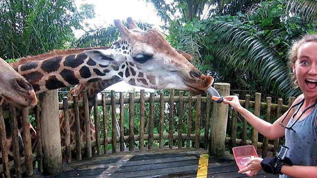 This was absolutely one of the coolest things we did on the trip.  Our adventures in incredible Singapore are posted on the blog!  #singapore #seasia