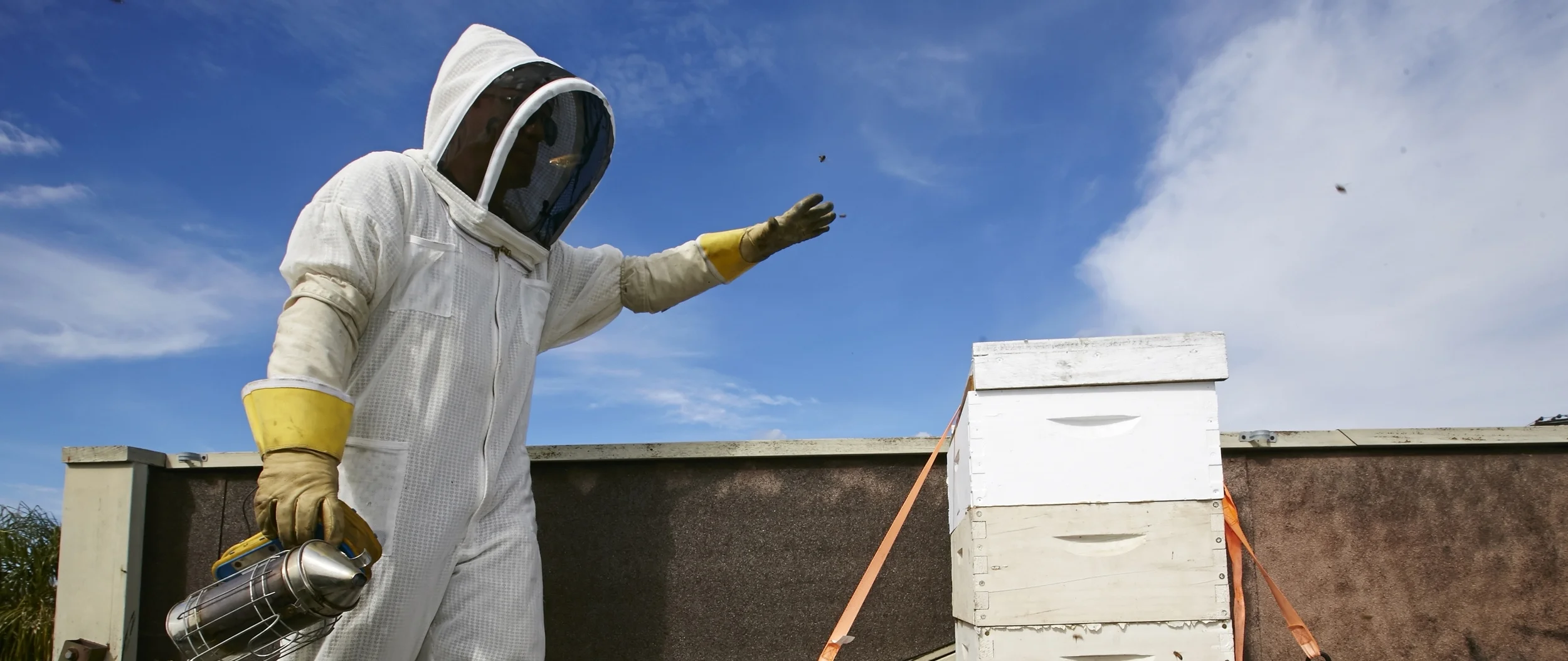 Urban_Beekeeping.JPEG-0c11d.jpg