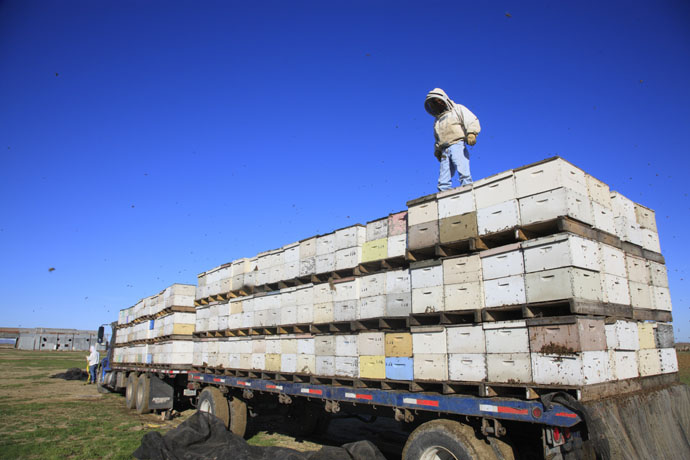 A commercial flatbed trailer.