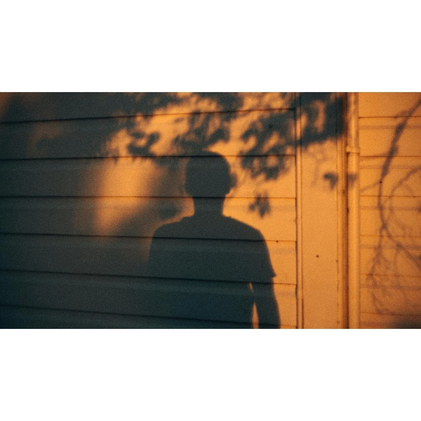 Just trying to blend in.