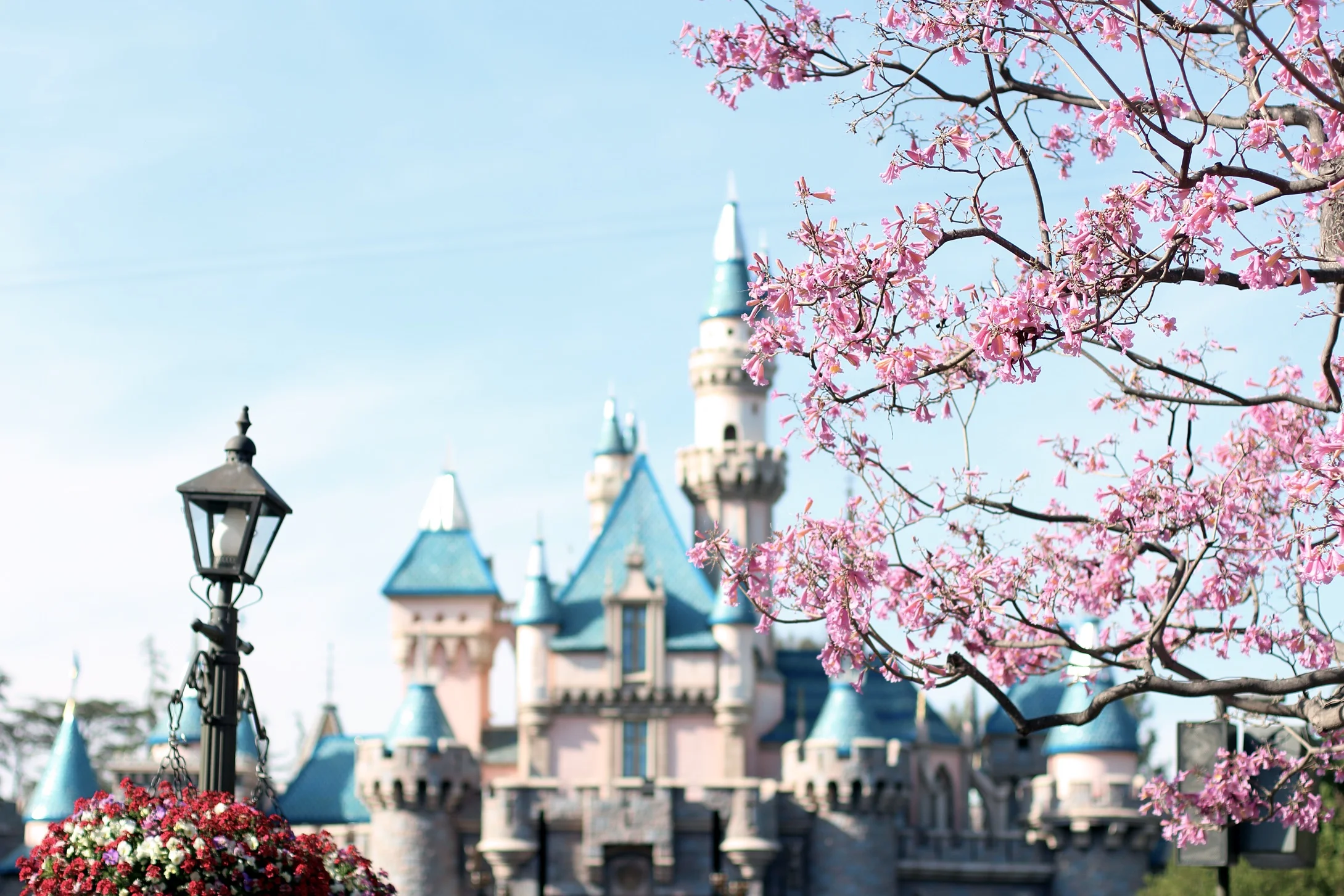 A Day At The Happiest Place on Earth