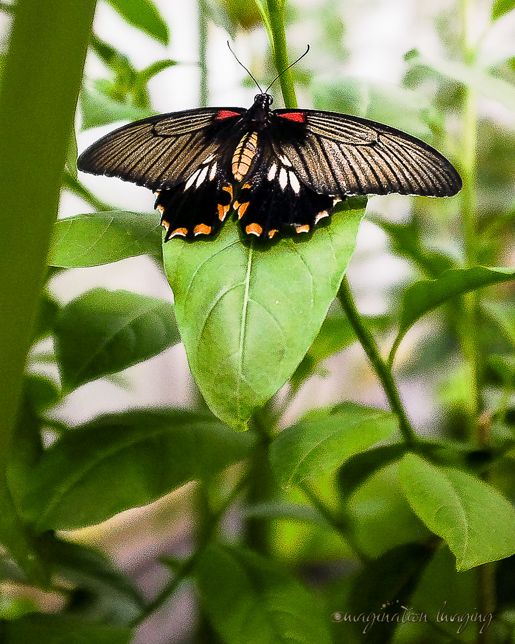 DSCF5721.jpg