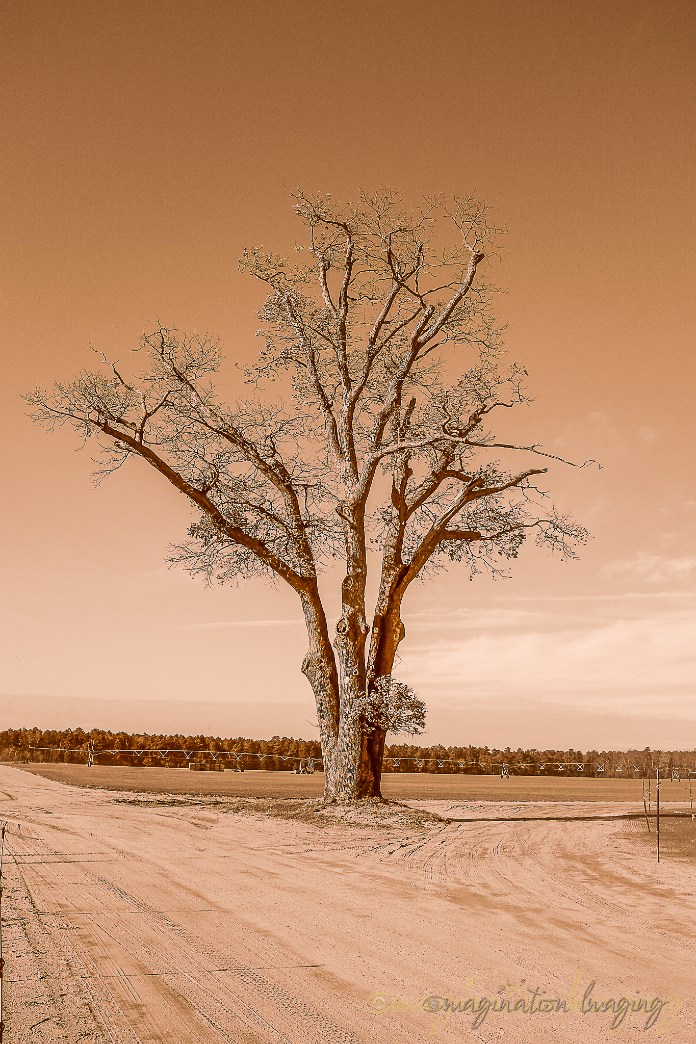 DSCF3735.jpg