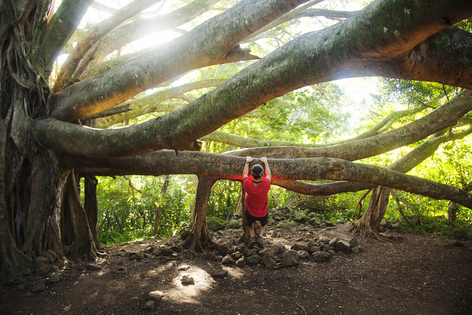 maui_hawaii_614.jpg