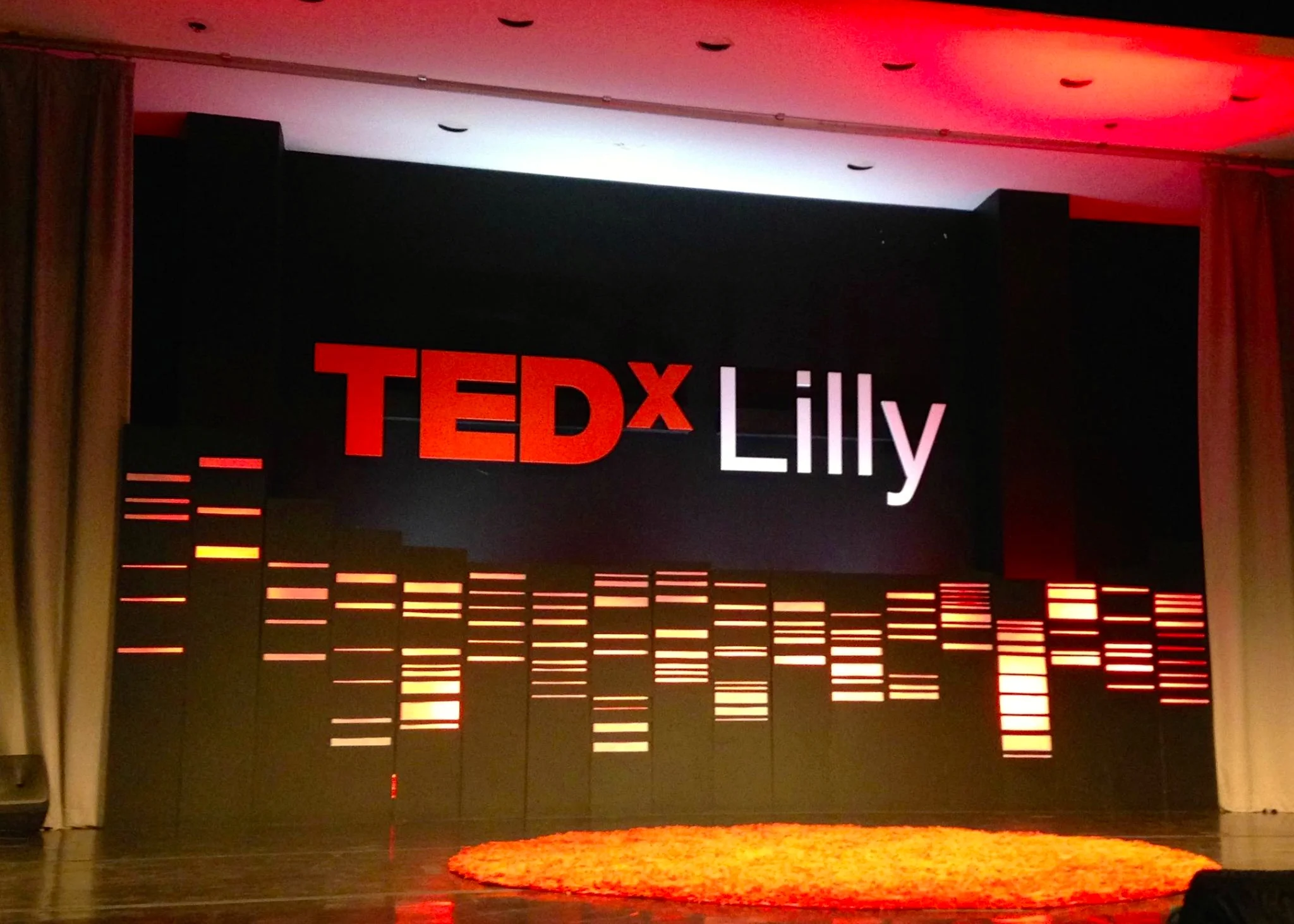 2014.05.15 TEDxLilly.jpg