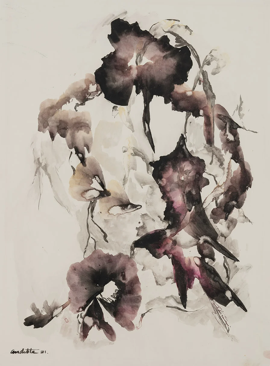Orchidées sauvages