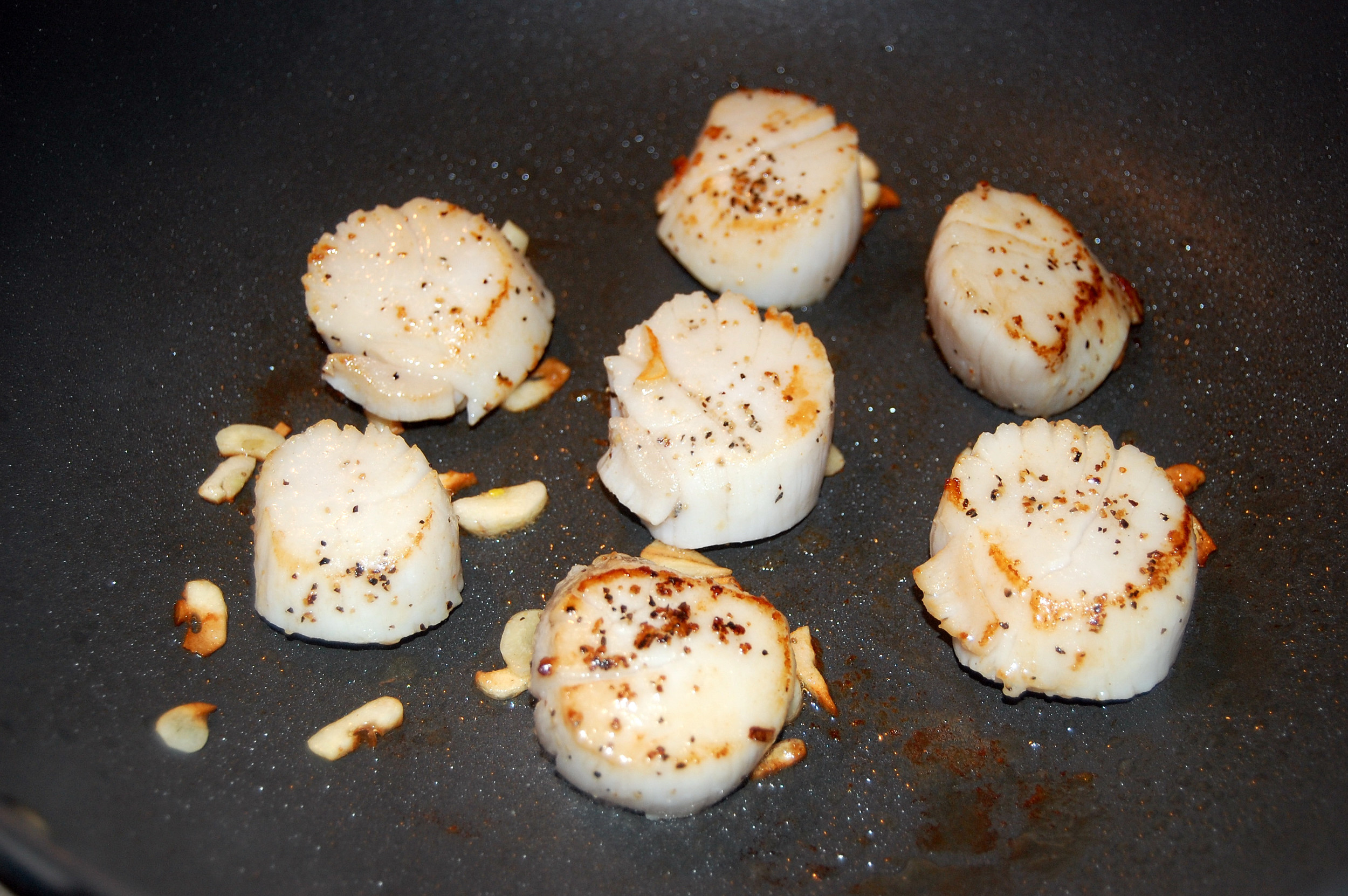 scallops-5.jpg