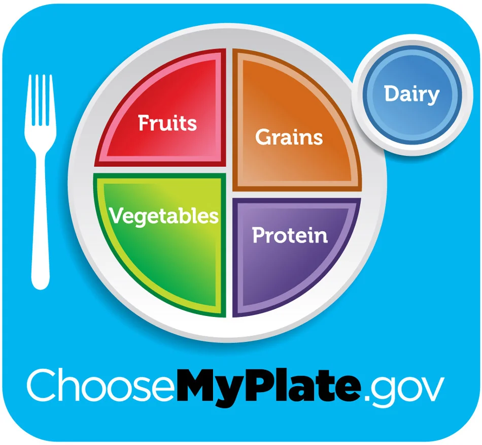 In the US, the USDA's My Plate.