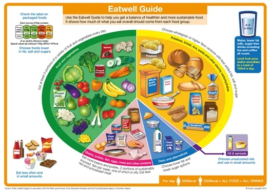 In the UK, the NHS's Eatwell Plate.