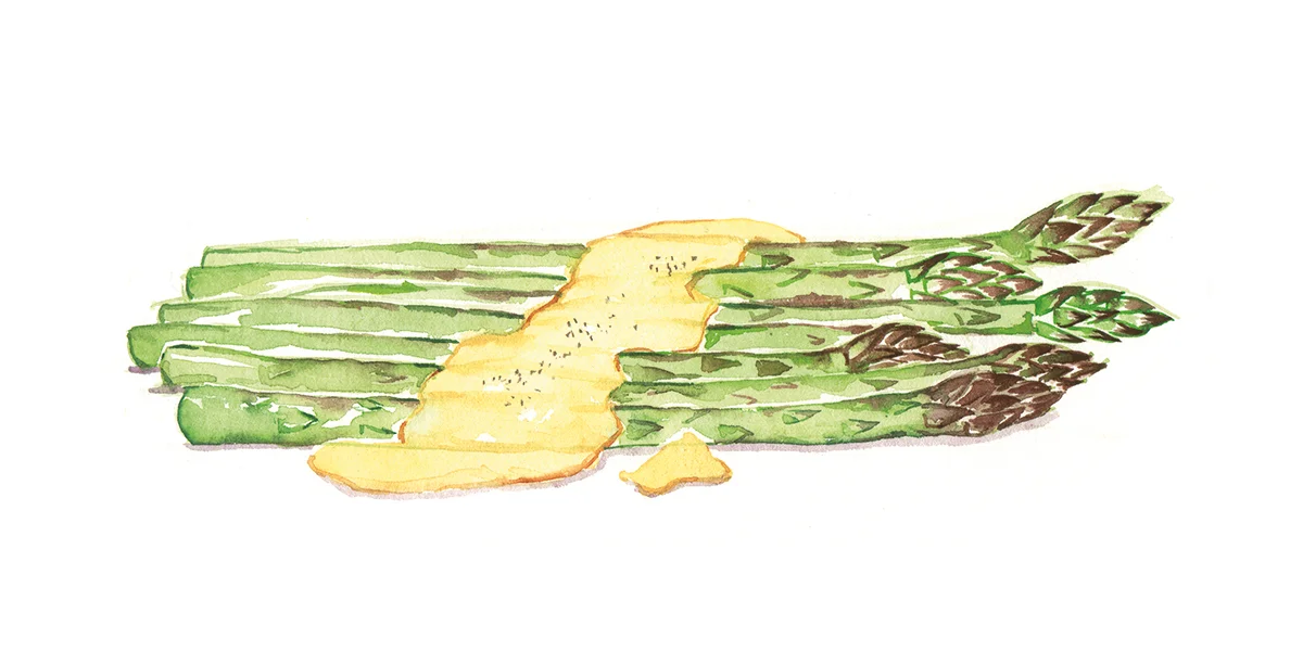 Asparagus Stalks rp.jpg