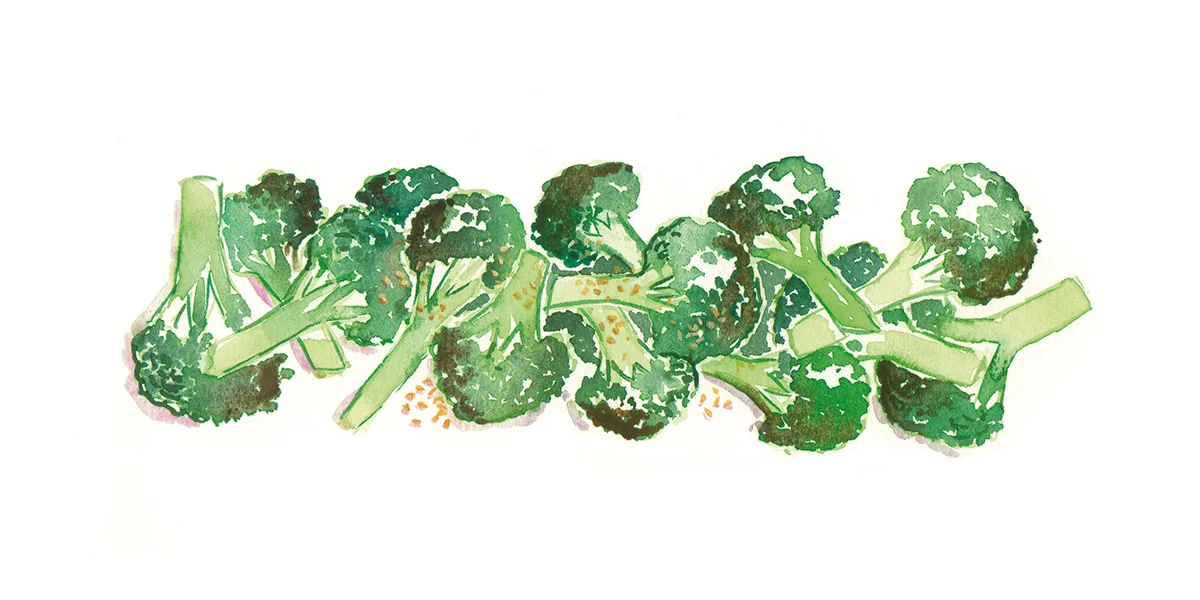 Broccoli Florets rp.jpg