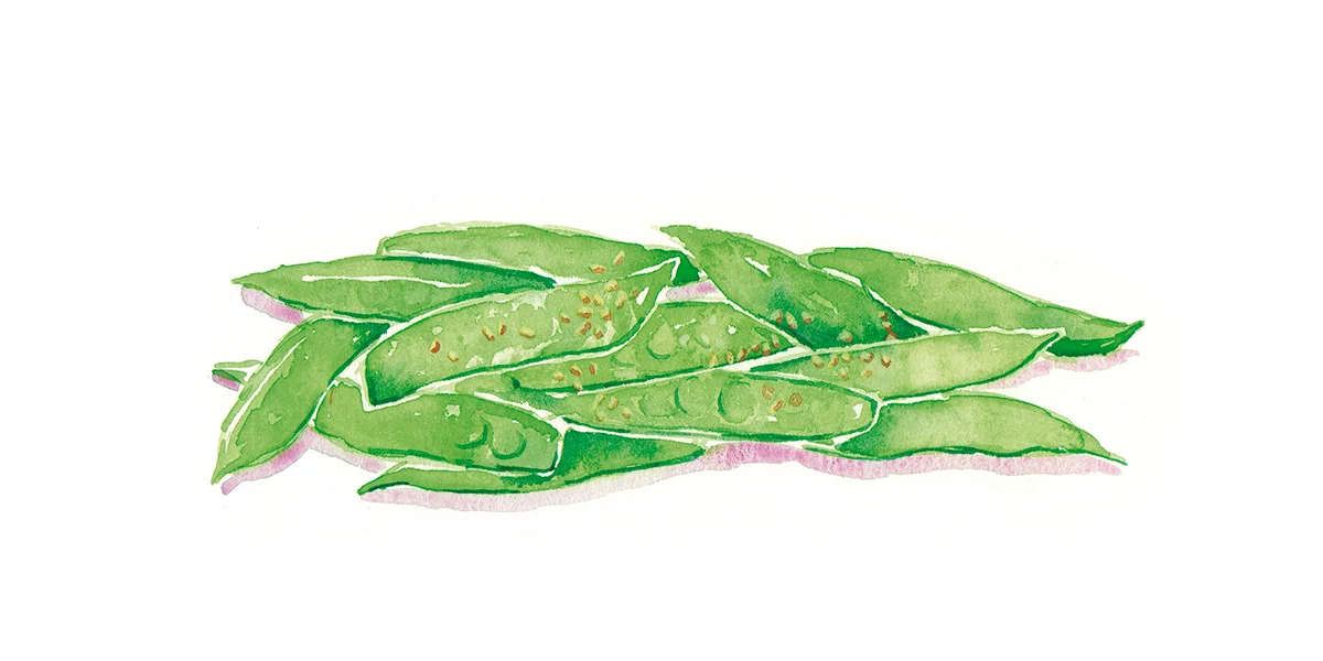 Snow Peas rp.jpg