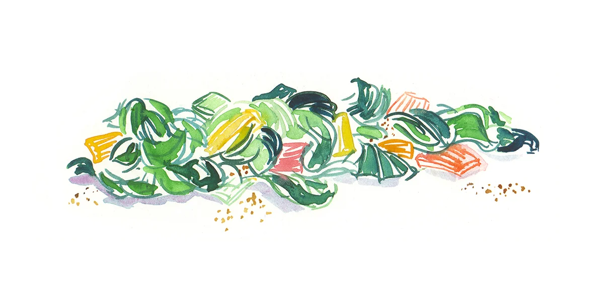 Rainbow Swiss Chard rp.jpg