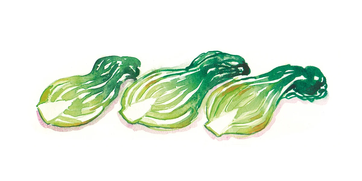 Bok Choy rp.jpg