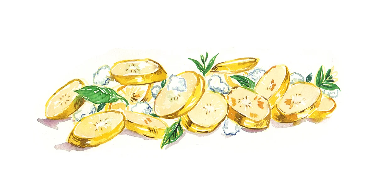 Yellow Squash rp.jpg