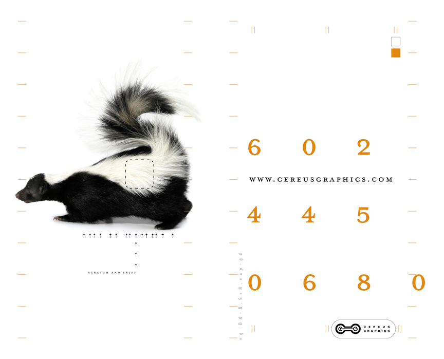 CEREUS-INSERT-07-FIN1.png