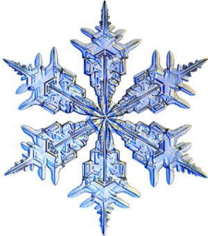 Primary Logo Mark