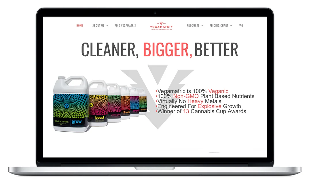 Website