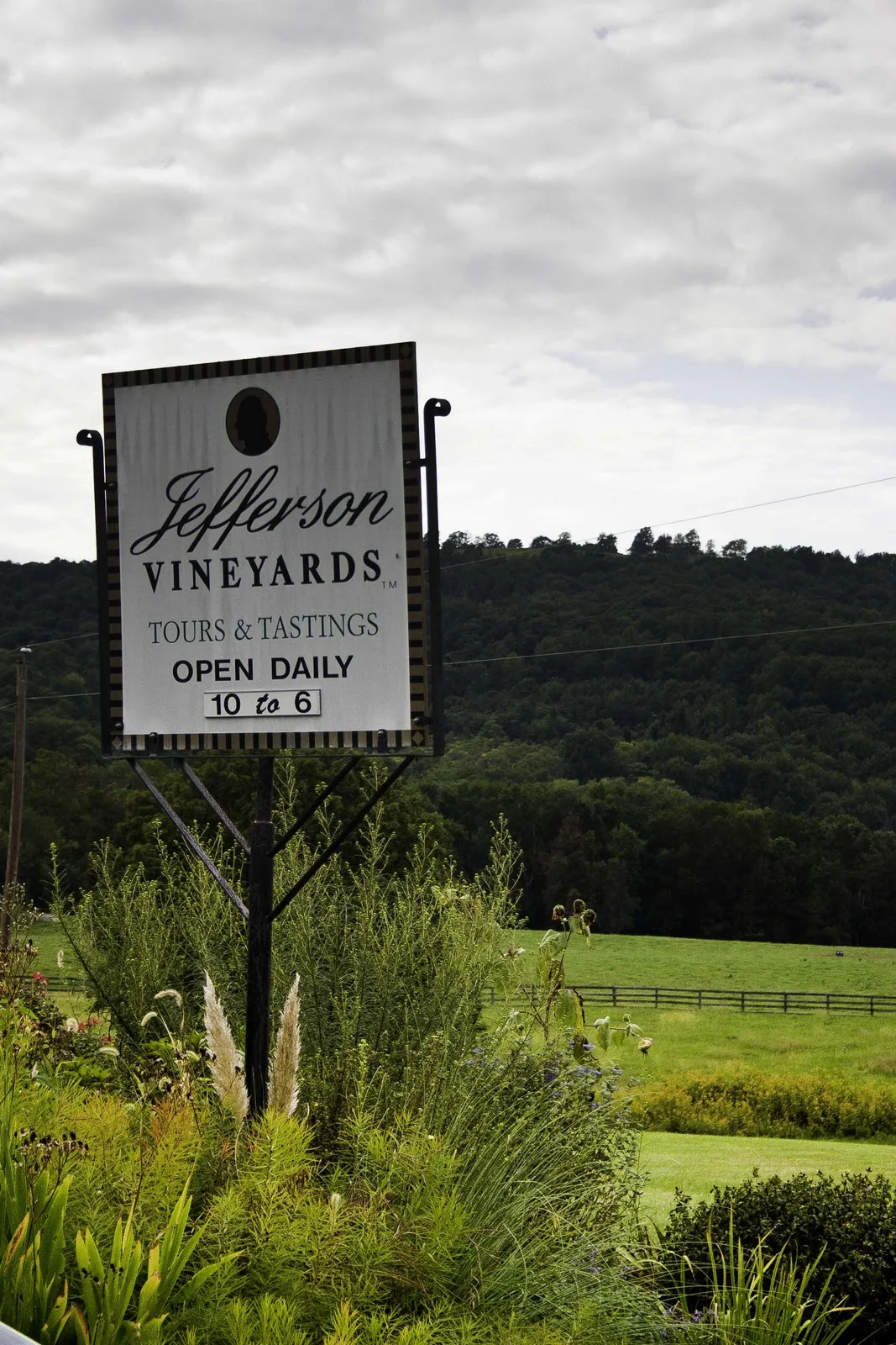 Charlotteville, VA! We hope to see you at our FREE SHOW tonight at Jefferson Vineyards at 5:30!! We can’t wait to play at a vineyard!