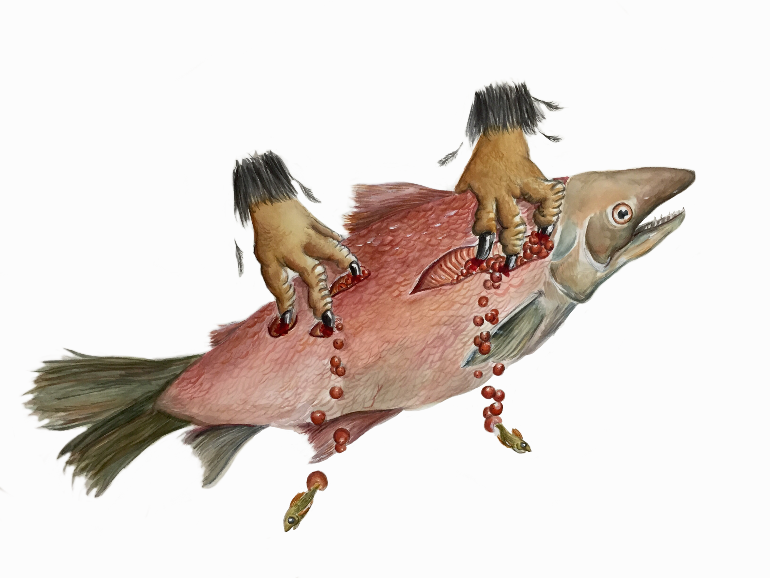 Sacrificial Salmon // Self-Portrait