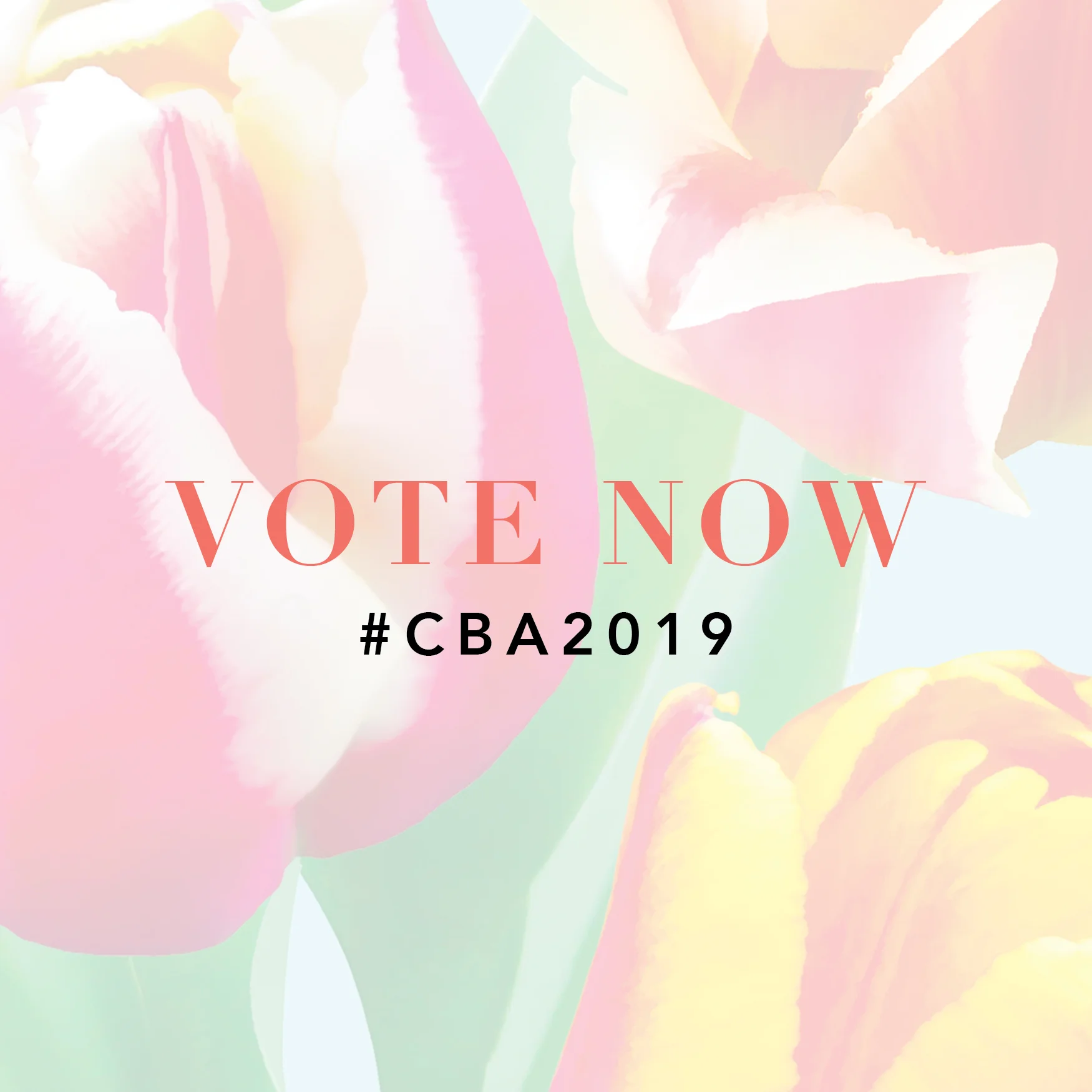#CBA2019: It's Time To Cast Your Vote!